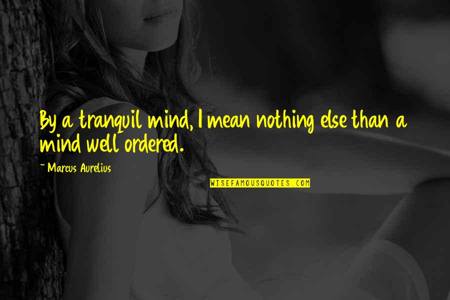 Unclear Thoughts Quotes By Marcus Aurelius: By a tranquil mind, I mean nothing else