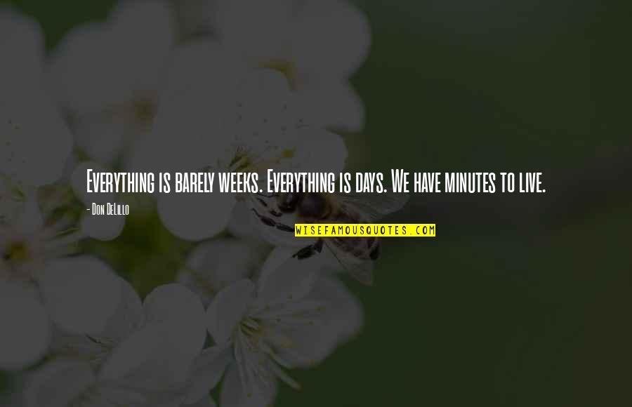 Unconditional Love For Your Son Quotes By Don DeLillo: Everything is barely weeks. Everything is days. We