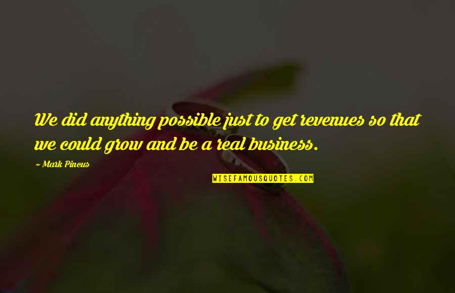 Unconventional Relationships Quotes By Mark Pincus: We did anything possible just to get revenues