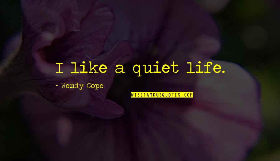Unconventional Romantic Quotes By Wendy Cope: I like a quiet life.