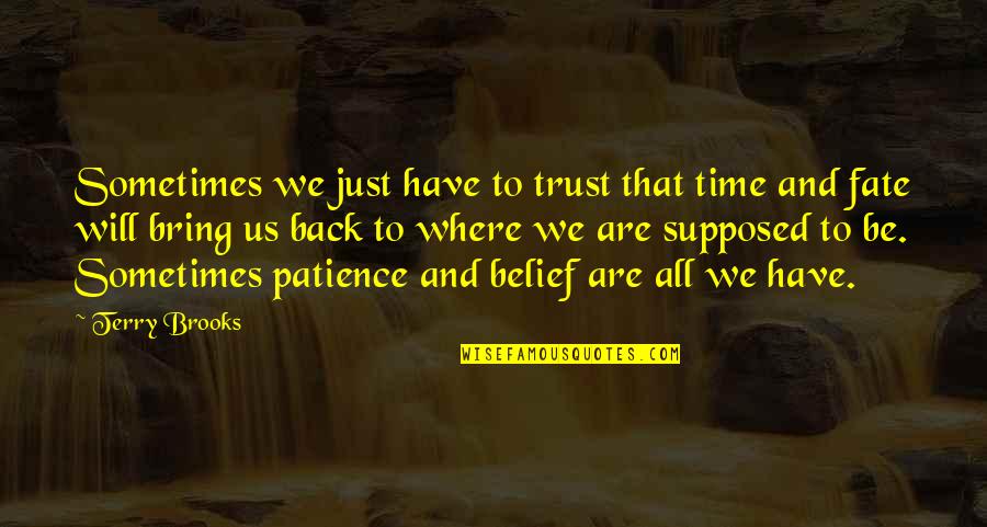 Uncovering Quotes By Terry Brooks: Sometimes we just have to trust that time