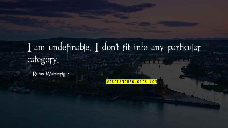 Undefinable Quotes By Rufus Wainwright: I am undefinable. I don't fit into any