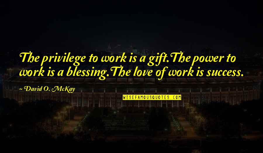Under A Rock Quotes By David O. McKay: The privilege to work is a gift.The power