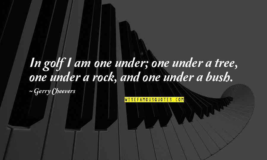 Under A Rock Quotes By Gerry Cheevers: In golf I am one under; one under