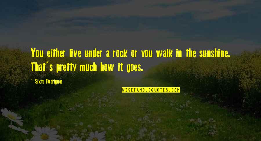 Under A Rock Quotes By Sixto Rodriguez: You either live under a rock or you