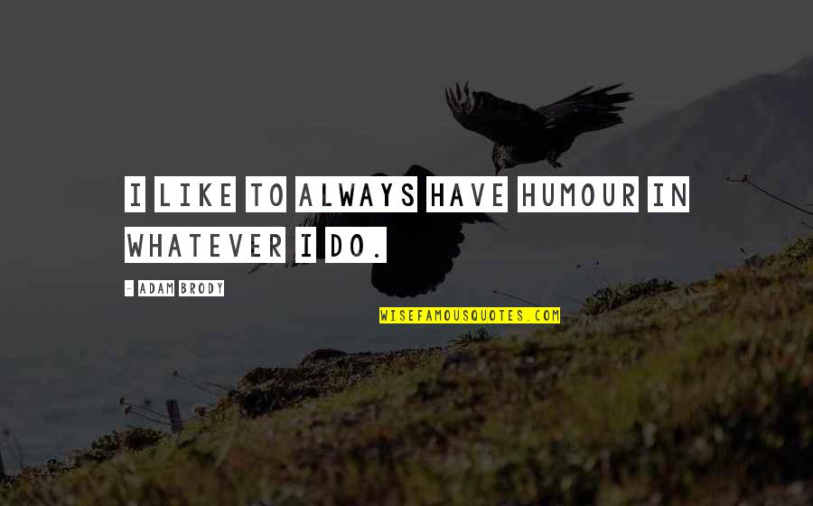 Under God's Wings Quotes By Adam Brody: I like to always have humour in whatever