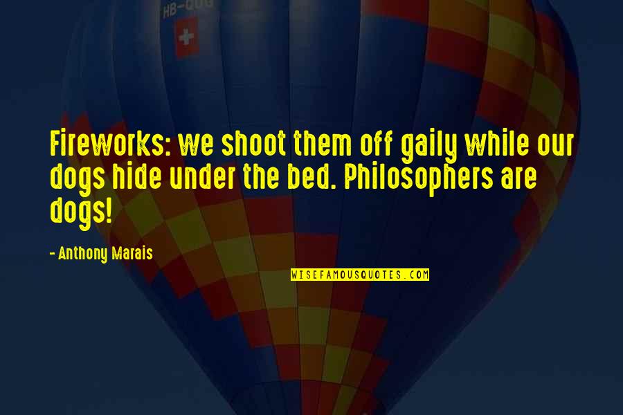 Under The Bed Quotes By Anthony Marais: Fireworks: we shoot them off gaily while our Under The Bed Quotes By Anthony Marais: Fireworks: we shoot them off gaily while our
