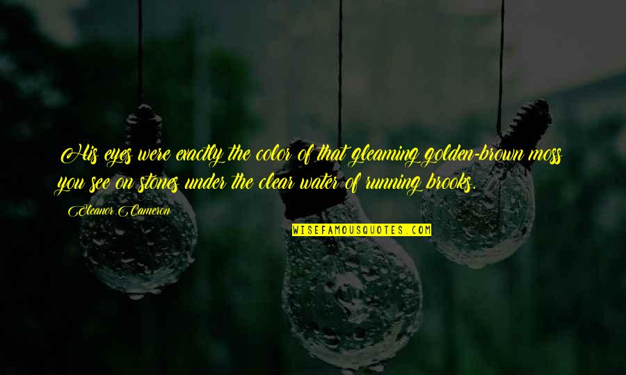 Under The Water Quotes By Eleanor Cameron: His eyes were exactly the color of that Under The Water Quotes By Eleanor Cameron: His eyes were exactly the color of that