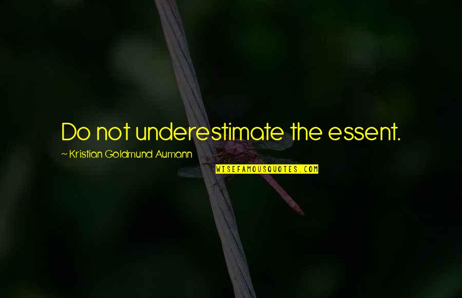 Underestimate Quotes And Quotes By Kristian Goldmund Aumann: Do not underestimate the essent.