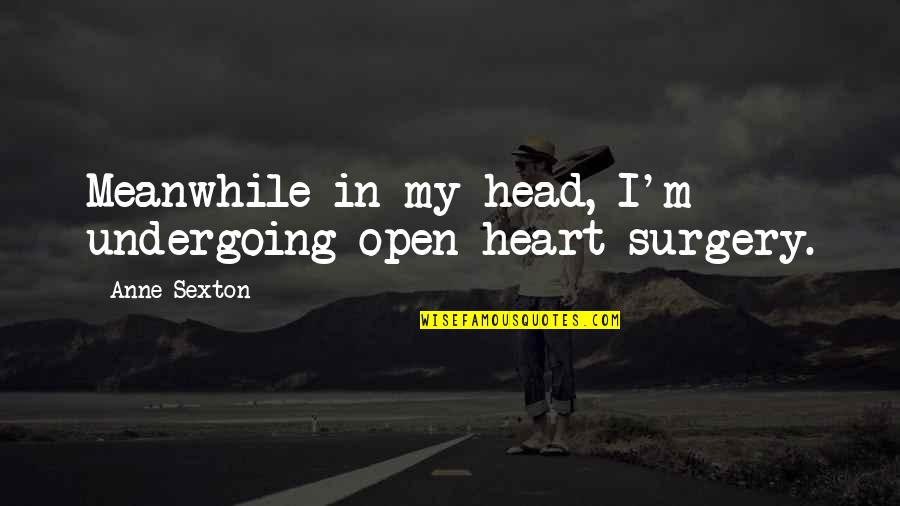 Undergoing Quotes By Anne Sexton: Meanwhile in my head, I'm undergoing open-heart surgery.