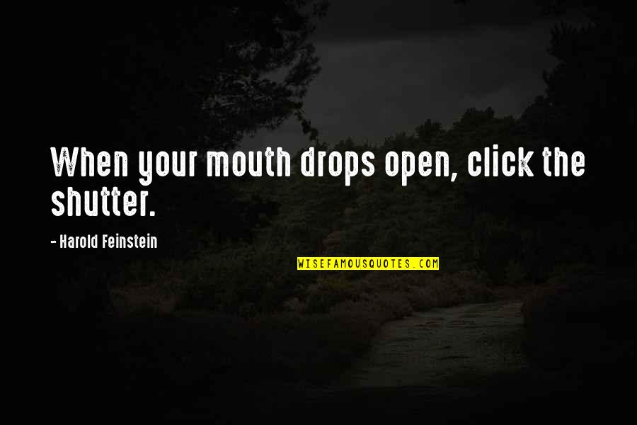 Undergrads Quotes By Harold Feinstein: When your mouth drops open, click the shutter. Undergrads Quotes By Harold Feinstein: When your mouth drops open, click the shutter.