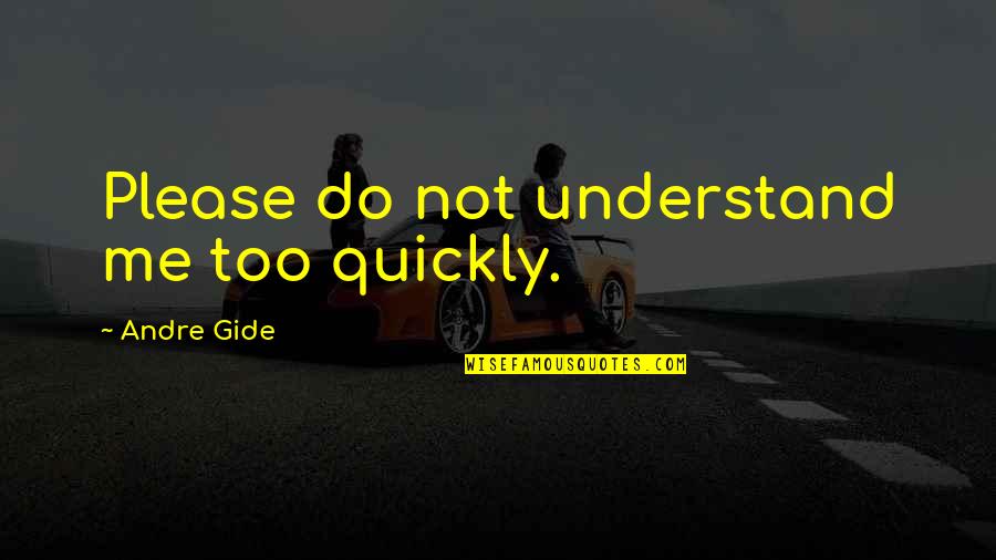 Understand Me Please Quotes By Andre Gide: Please do not understand me too quickly.