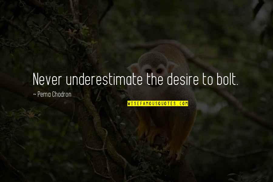 Understanding Anxiety Quotes By Pema Chodron: Never underestimate the desire to bolt.