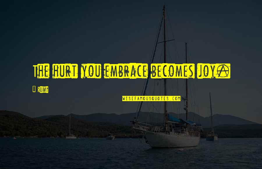 Understanding Concepts Quotes By Rumi: The hurt you embrace becomes joy.