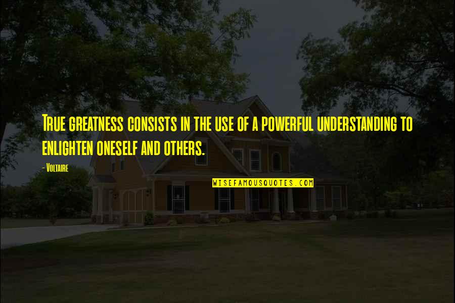 Understanding Others Quotes By Voltaire: True greatness consists in the use of a