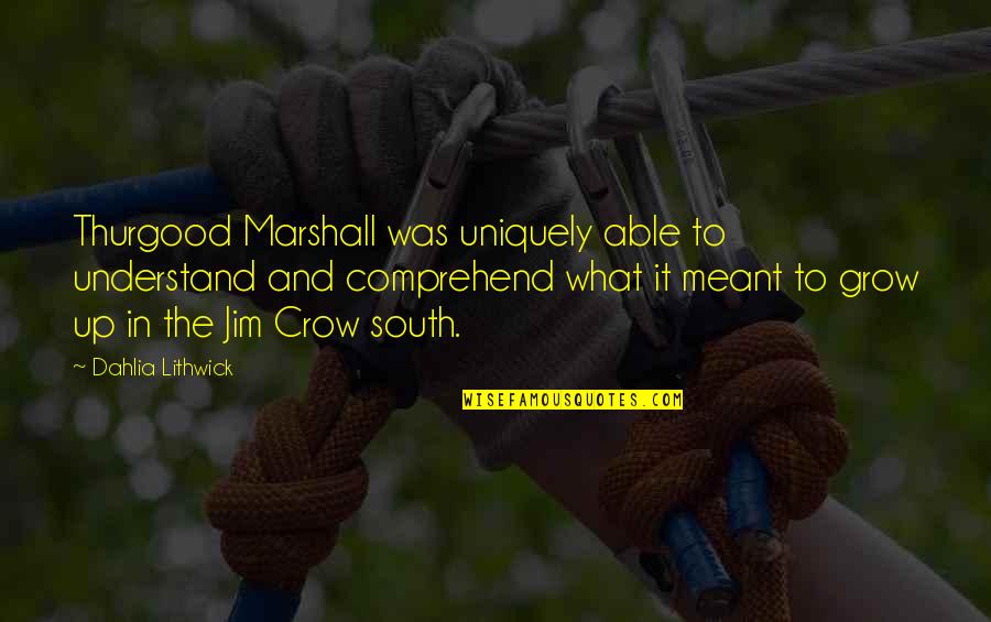 Understanding That One In A Quadrillion Quotes By Dahlia Lithwick: Thurgood Marshall was uniquely able to understand and Understanding That One In A Quadrillion Quotes By Dahlia Lithwick: Thurgood Marshall was uniquely able to understand and