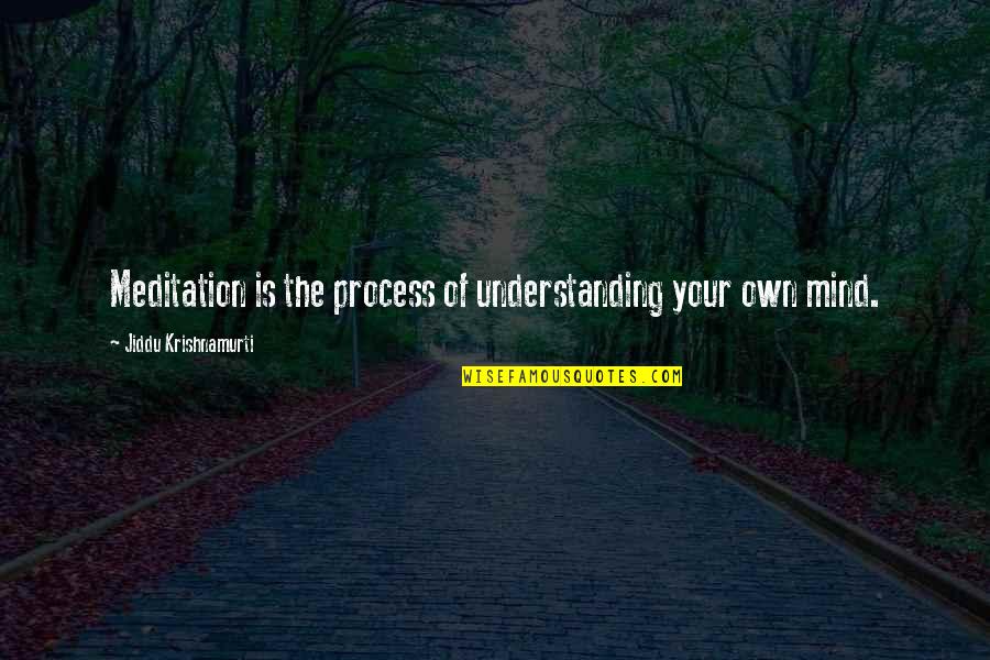 Understanding The Mind Quotes By Jiddu Krishnamurti: Meditation is the process of understanding your own