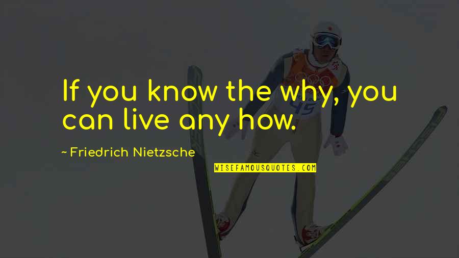 Understanding The Why Quotes By Friedrich Nietzsche: If you know the why, you can live