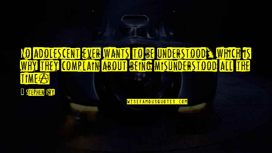 Understanding The Why Quotes By Stephen Fry: No adolescent ever wants to be understood, which