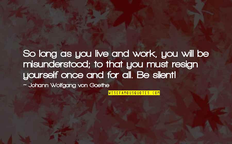 Understanding Yourself Quotes By Johann Wolfgang Von Goethe: So long as you live and work, you