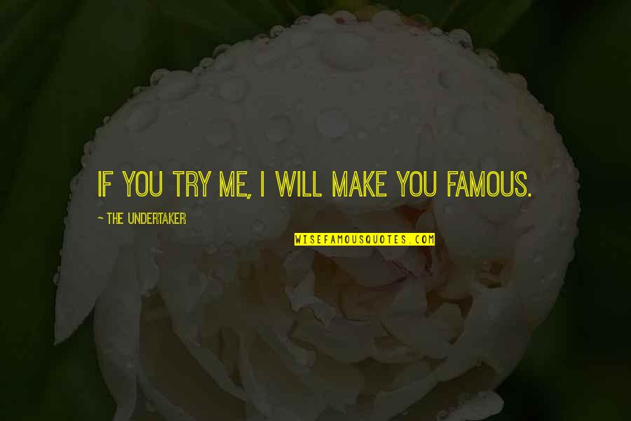 Undertaker Best Quotes By The Undertaker: If you try me, I will make you