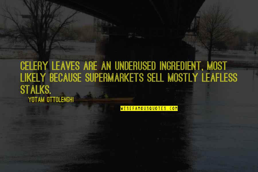 Underused Quotes By Yotam Ottolenghi: Celery leaves are an underused ingredient, most likely Underused Quotes By Yotam Ottolenghi: Celery leaves are an underused ingredient, most likely