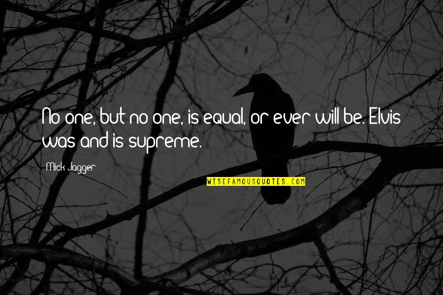 Undervalued At Work Quotes By Mick Jagger: No one, but no one, is equal, or