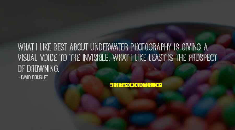 Underwater Quotes By David Doubilet: What I like best about underwater photography is
