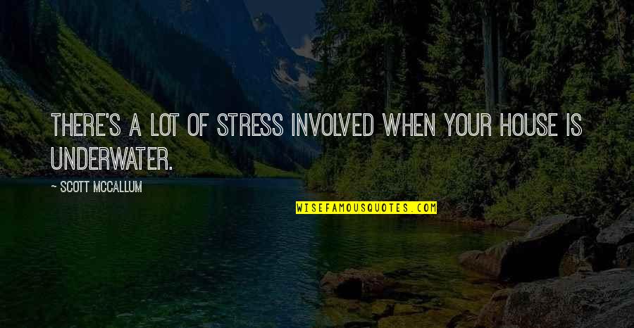 Underwater Quotes By Scott McCallum: There's a lot of stress involved when your