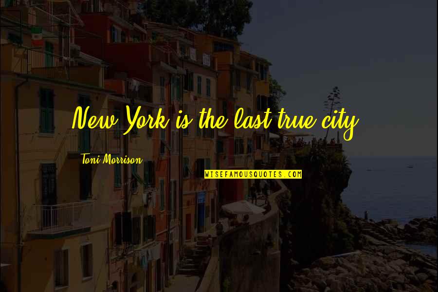Underwears Sans Quotes By Toni Morrison: New York is the last true city. Underwears Sans Quotes By Toni Morrison: New York is the last true city.
