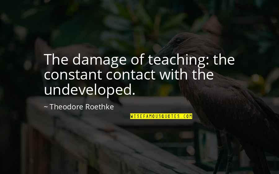 Undeveloped Quotes By Theodore Roethke: The damage of teaching: the constant contact with