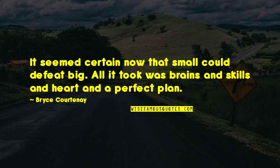 Undiagnosable Illness Quotes By Bryce Courtenay: It seemed certain now that small could defeat