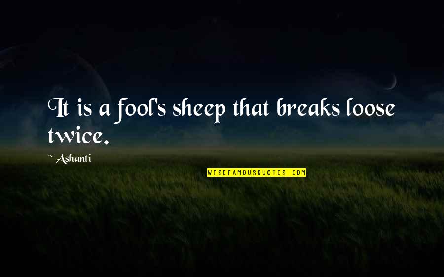 Undiscerning Thesaurus Quotes By Ashanti: It is a fool's sheep that breaks loose