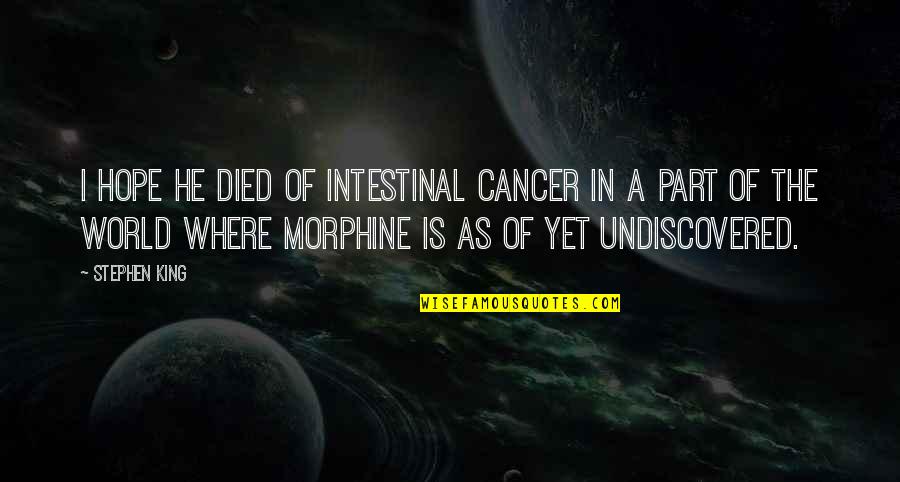 Undiscovered Quotes By Stephen King: I hope he died of intestinal cancer in