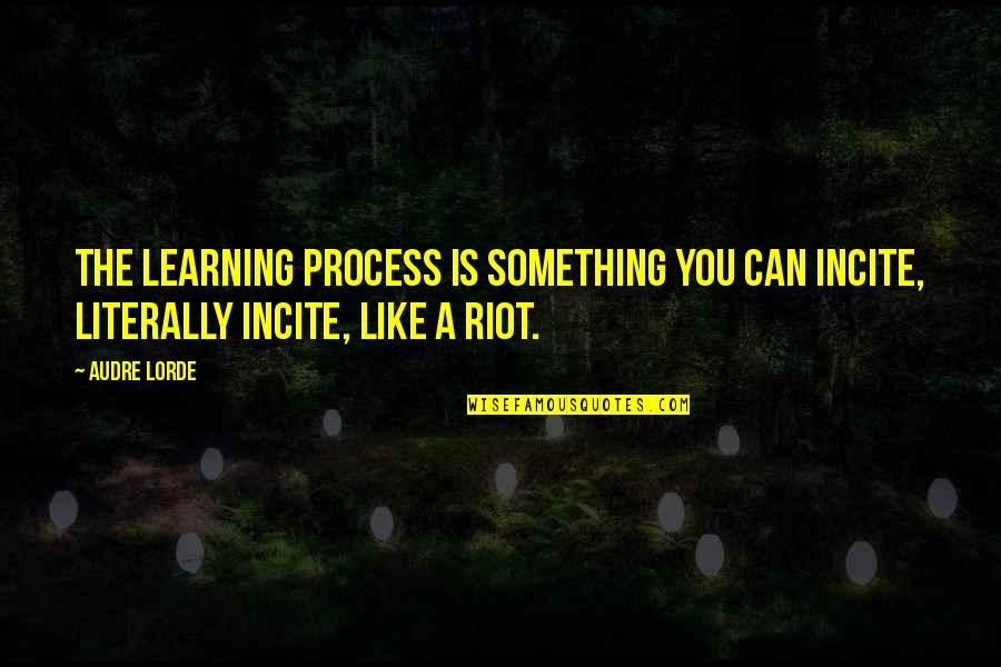 Undomesticated Cats Quotes By Audre Lorde: The learning process is something you can incite,