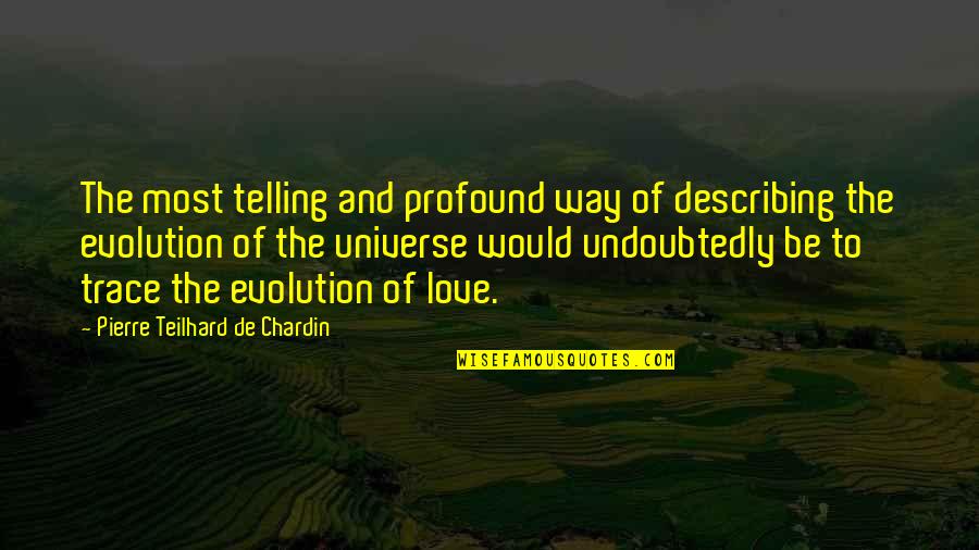 Undoubtedly Quotes By Pierre Teilhard De Chardin: The most telling and profound way of describing