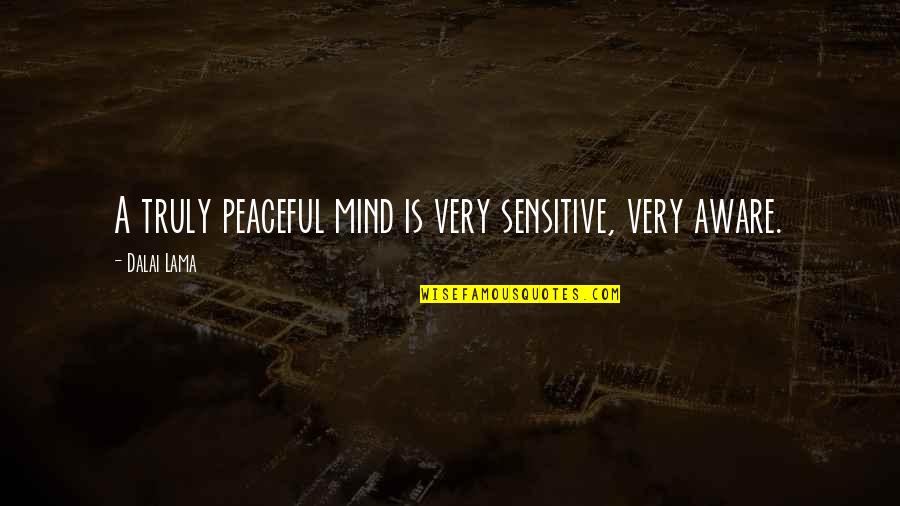 Undulled Quotes By Dalai Lama: A truly peaceful mind is very sensitive, very