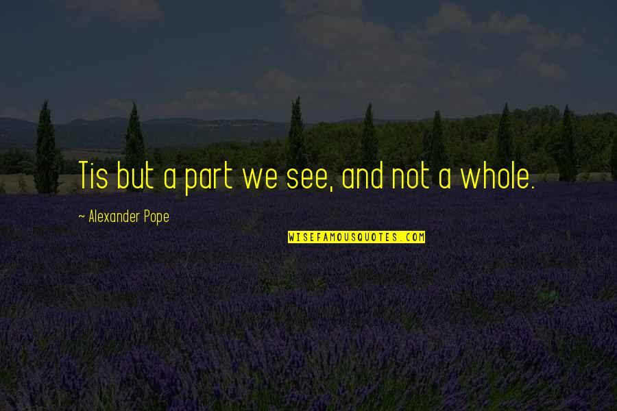 Undyingly Quotes By Alexander Pope: Tis but a part we see, and not Undyingly Quotes By Alexander Pope: Tis but a part we see, and not