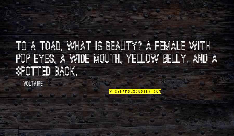 Unecologic Quotes By Voltaire: To a toad, what is beauty? A female