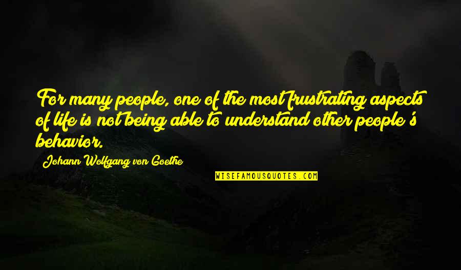 Unecon Quotes By Johann Wolfgang Von Goethe: For many people, one of the most frustrating