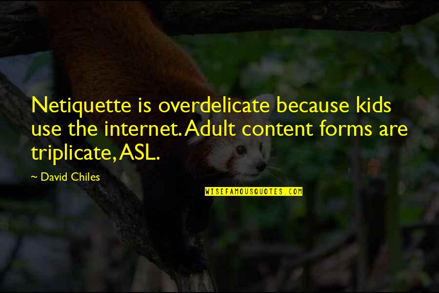 Unedifying Quotes By David Chiles: Netiquette is overdelicate because kids use the internet.