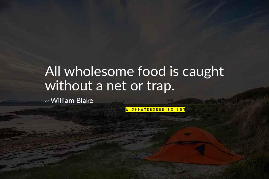 Unempathic Quotes By William Blake: All wholesome food is caught without a net