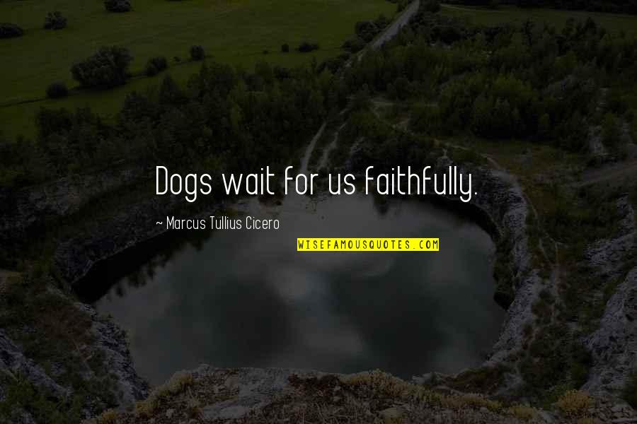 Unendliche Freude Quotes By Marcus Tullius Cicero: Dogs wait for us faithfully.