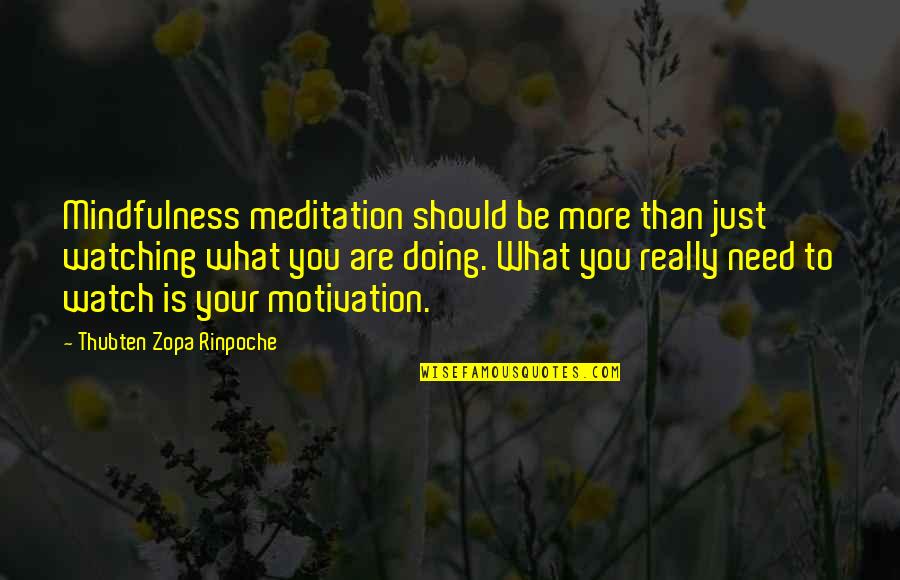 Unexpected Treasures Quotes By Thubten Zopa Rinpoche: Mindfulness meditation should be more than just watching