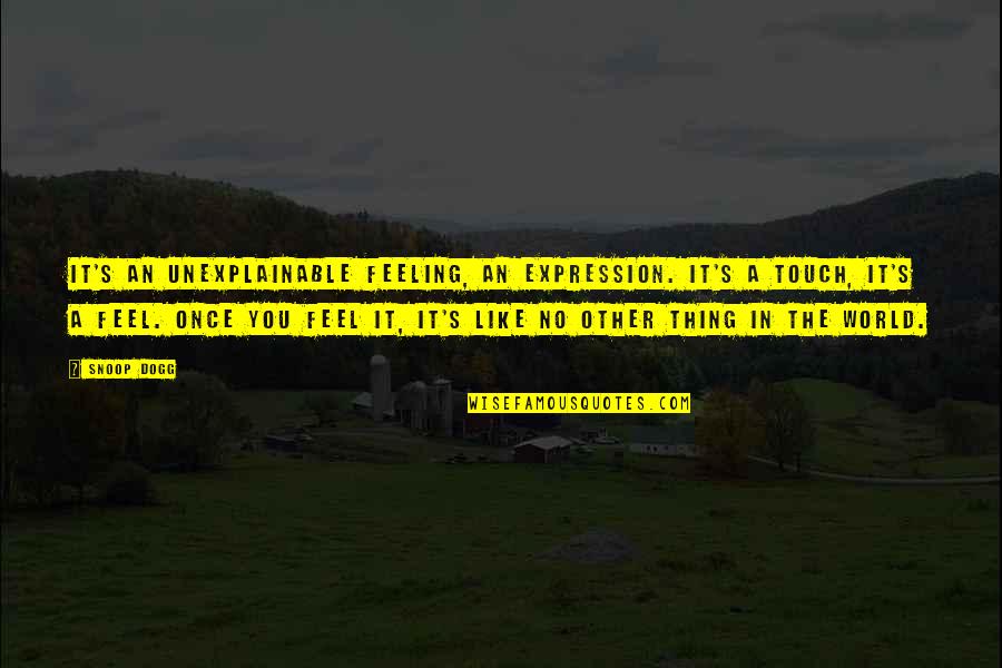 Unexplainable Feelings Quotes By Snoop Dogg: It's an unexplainable feeling, an expression. It's a