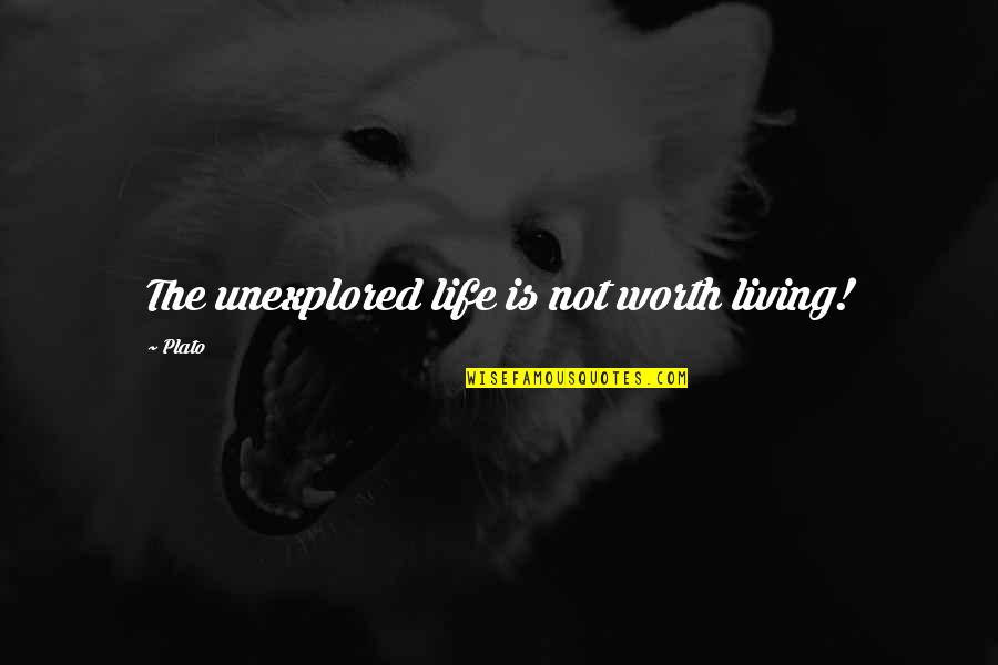Unexplored Quotes By Plato: The unexplored life is not worth living!
