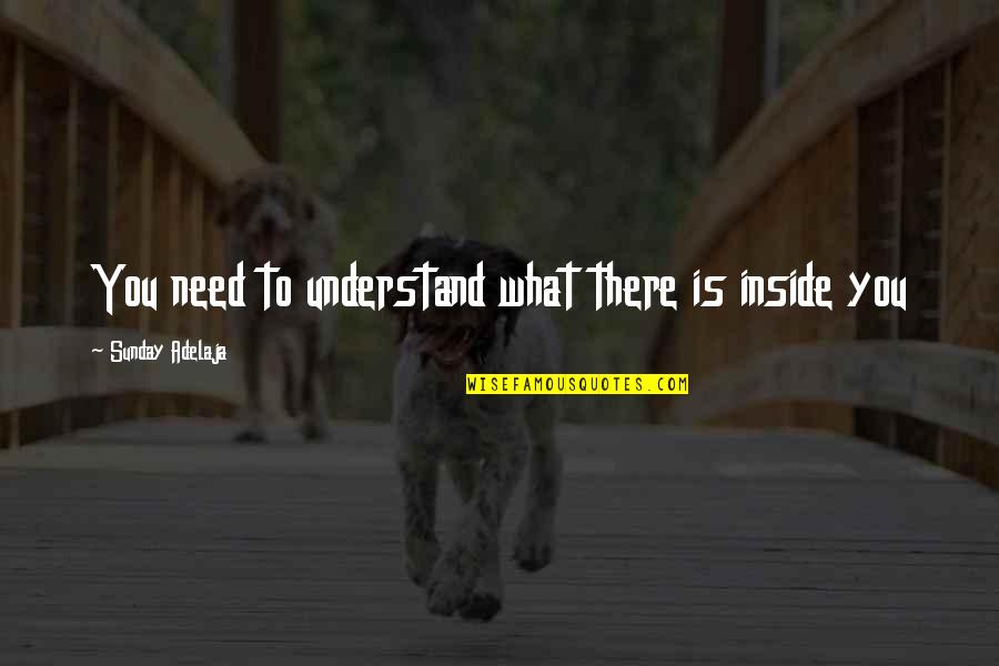 Unfairnesses Quotes By Sunday Adelaja: You need to understand what there is inside