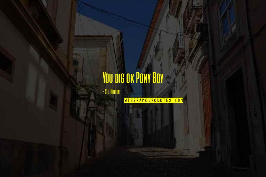 Unfinished Journey Quotes By S.E. Hinton: You dig ok Pony Boy Unfinished Journey Quotes By S.E. Hinton: You dig ok Pony Boy