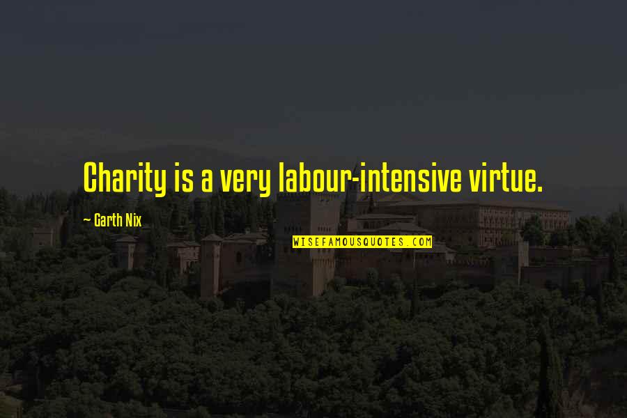 Unflushed Quotes By Garth Nix: Charity is a very labour-intensive virtue.