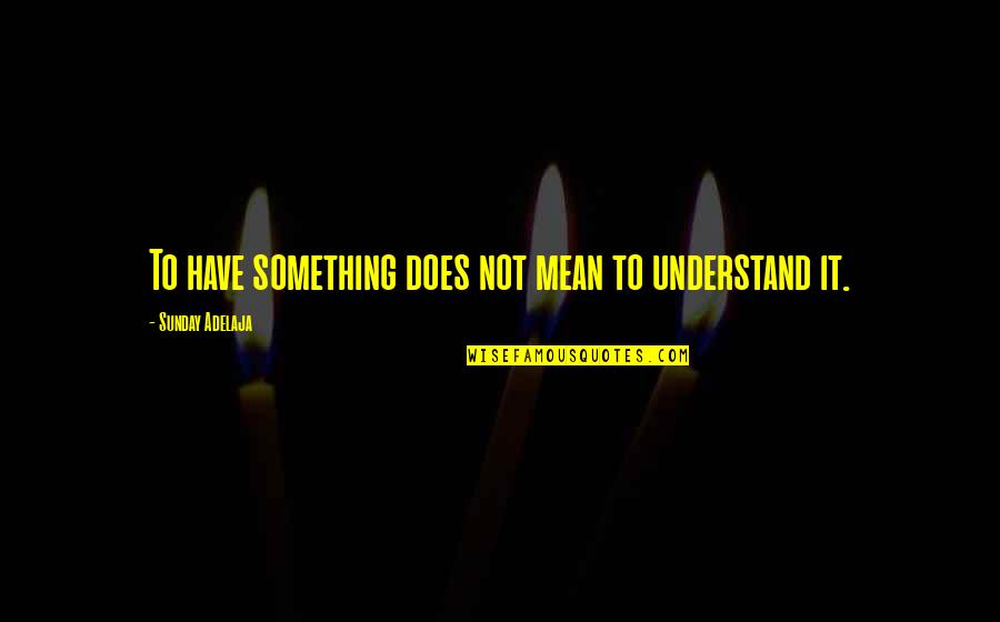 Unforgivable Quotes Quotes By Sunday Adelaja: To have something does not mean to understand